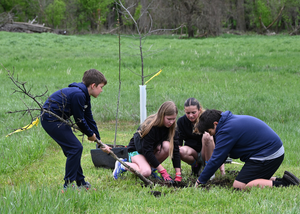 four middle schoolers in a park digging up a tree