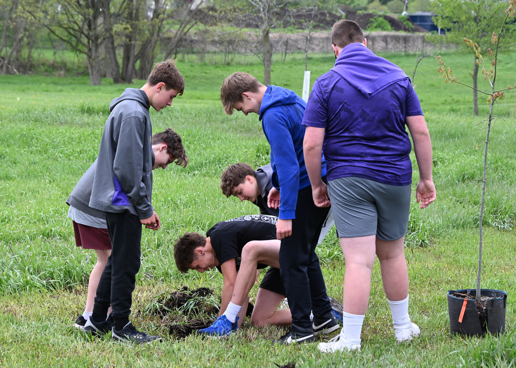 Six middle schoolers in a park digging up a tree