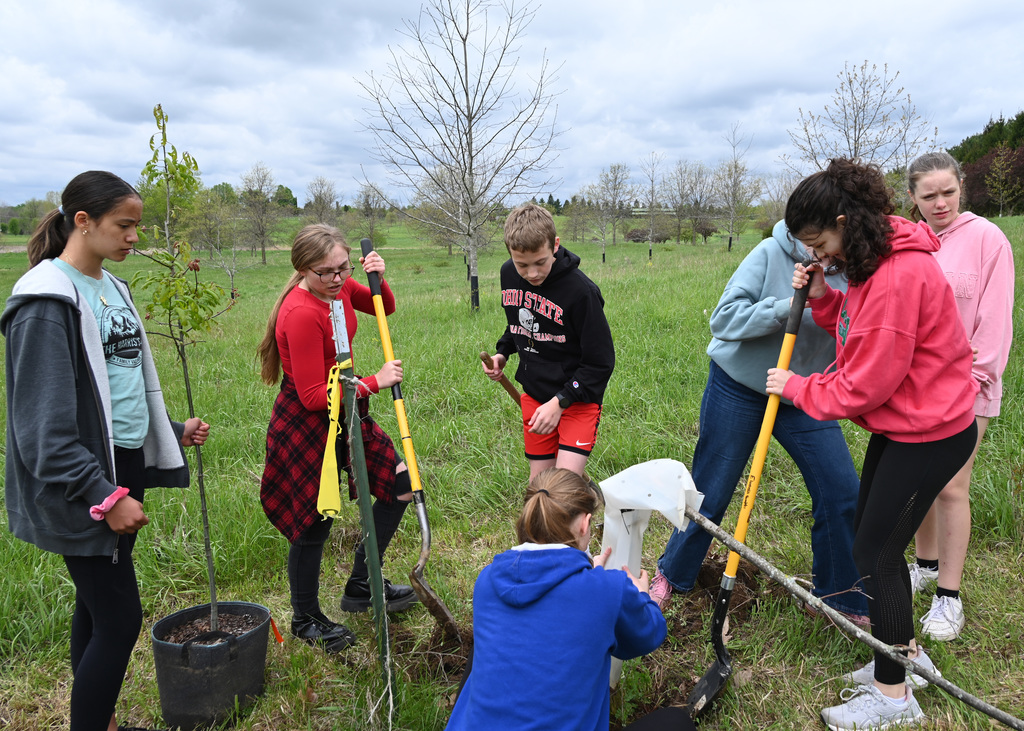 Seven middle schoolers in a park digging up a tree