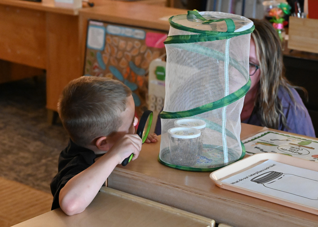 woman and boy looking at caterpillar cage boy using magnifying glass