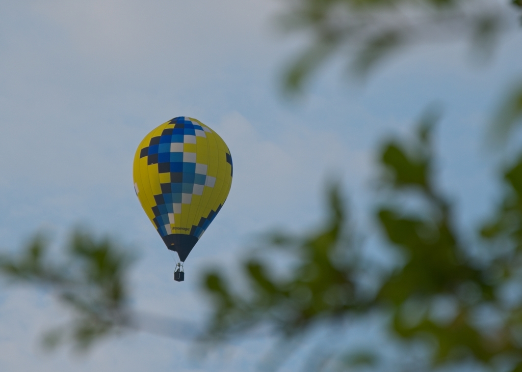 Hot Air Balloon through trees