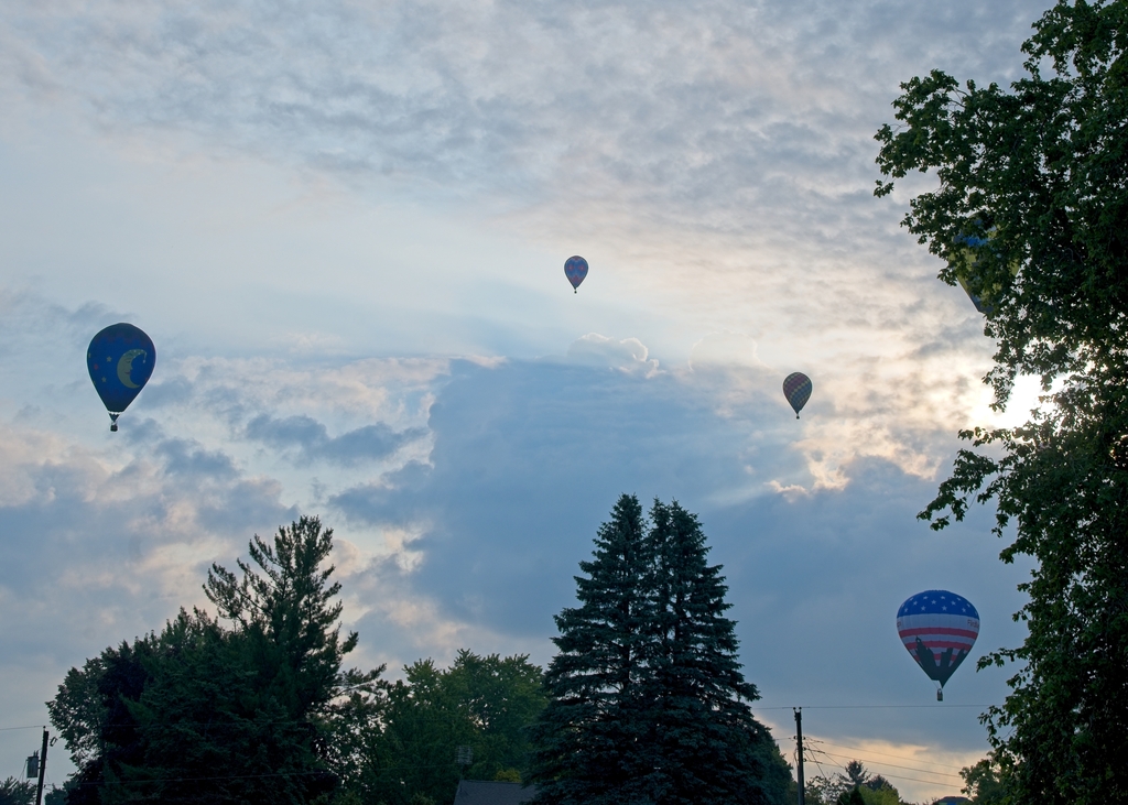 Hot Air Balloons above trees