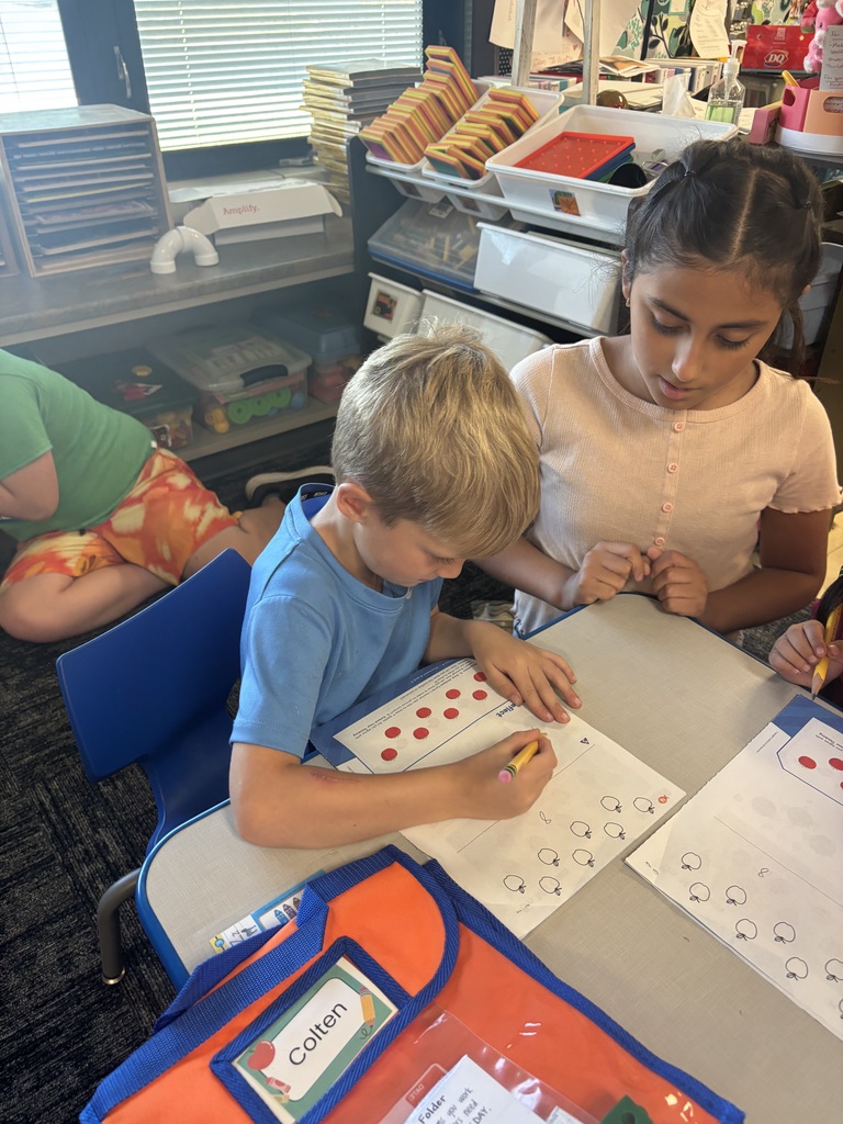 Two children at a desk