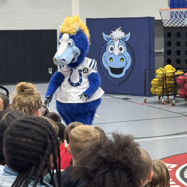 The star of the show !