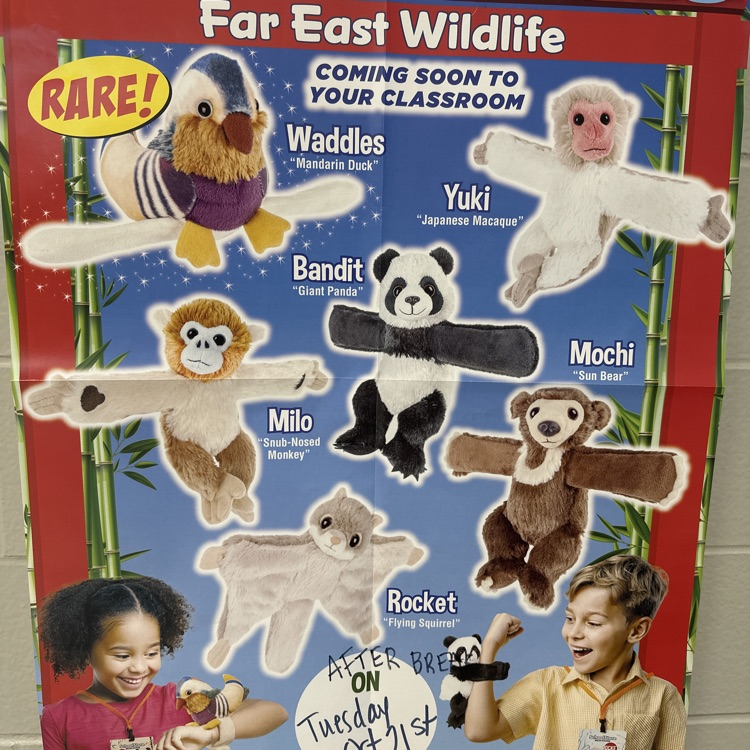 schoolstore fundraiser starts today