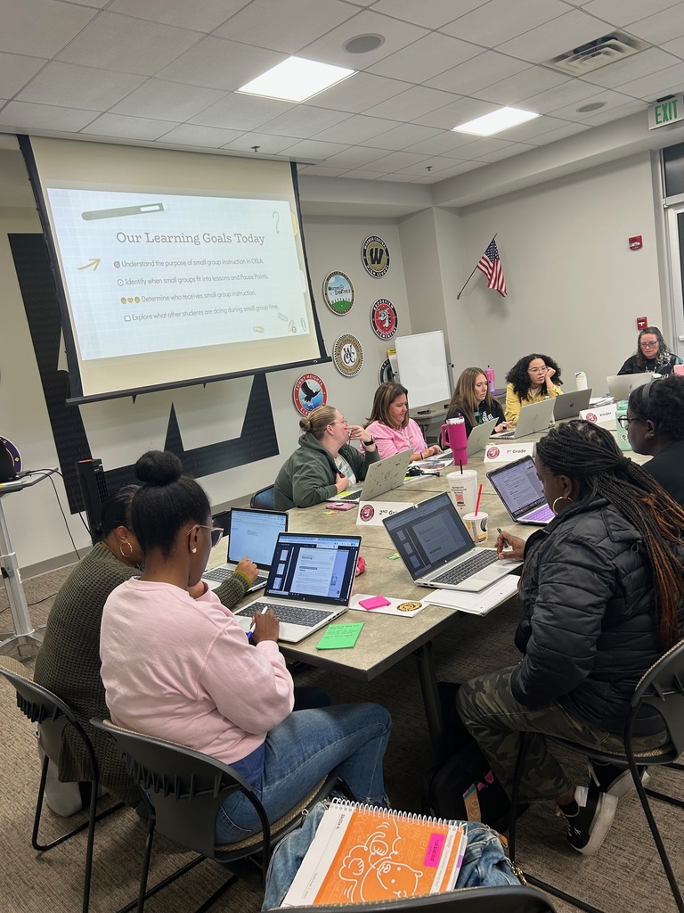 Teachers engaging in PD.