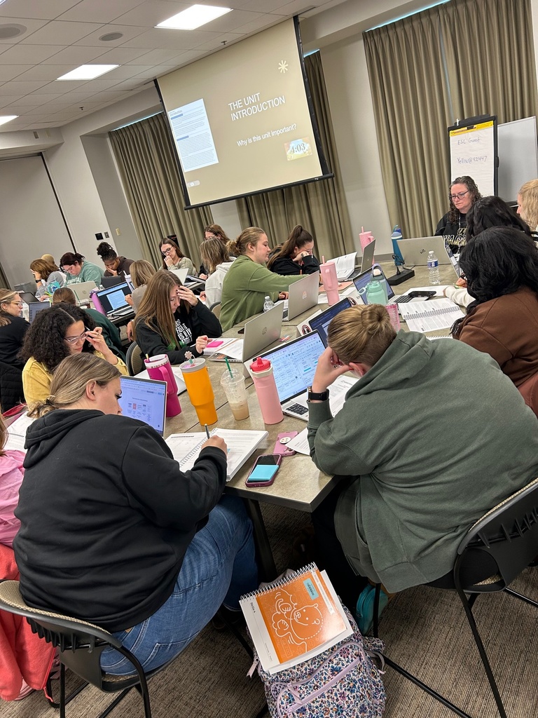 Teachers engaging in PD.