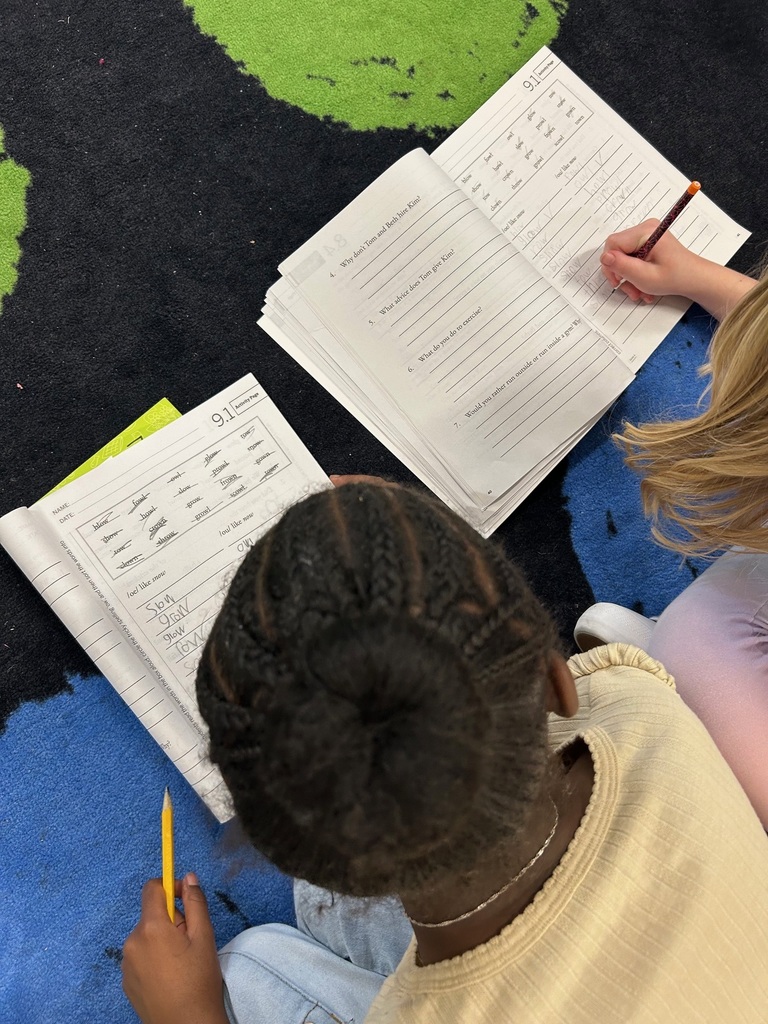 Second grade students reviewing vowel spelling patterns.