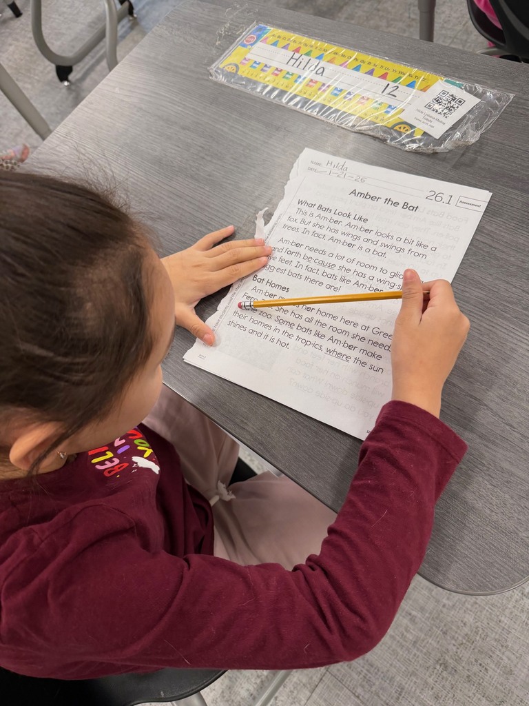 1st grade student reading a story.