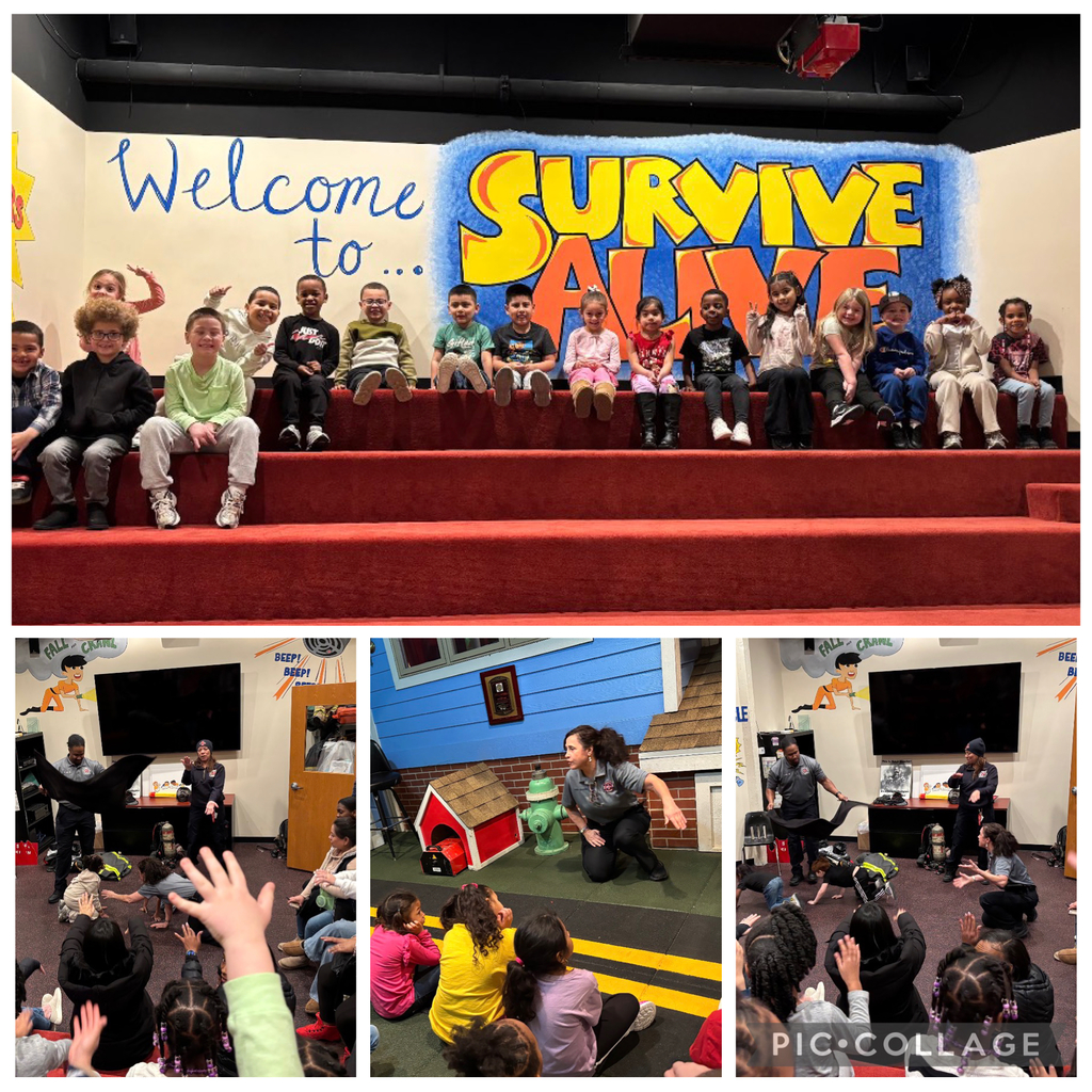 Kindergarten Field Trip