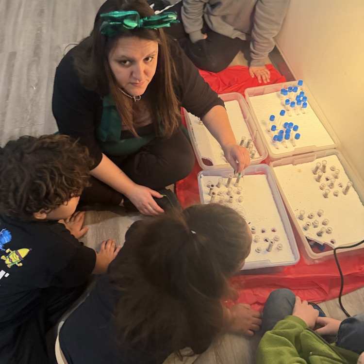 looking at growing bean seeds in STEM