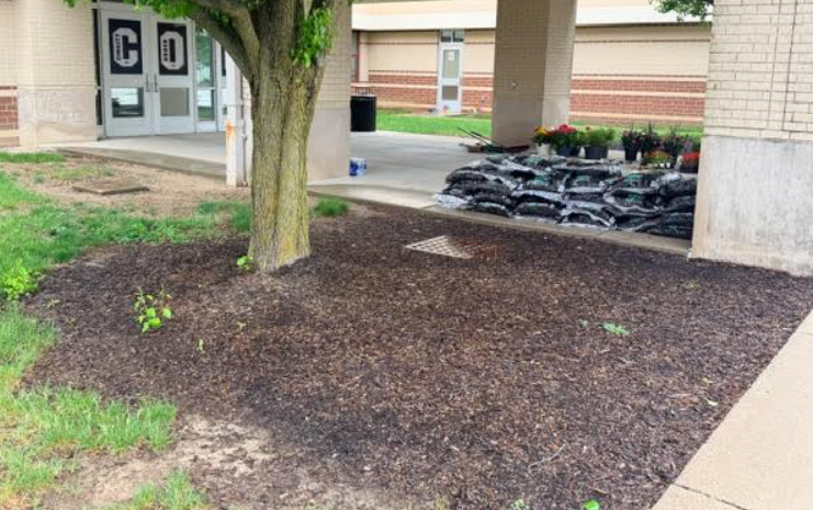 Warren Clean-Up Day '26 - Before