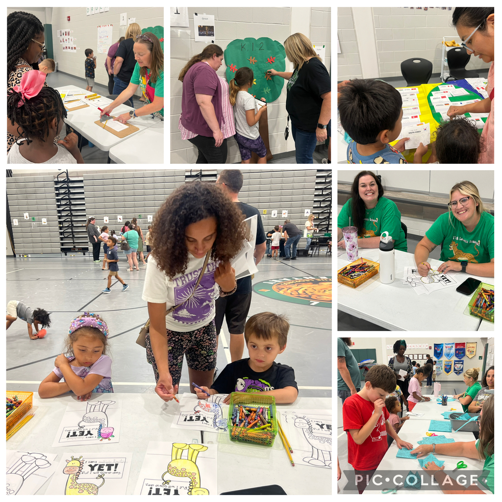 Literacy Night