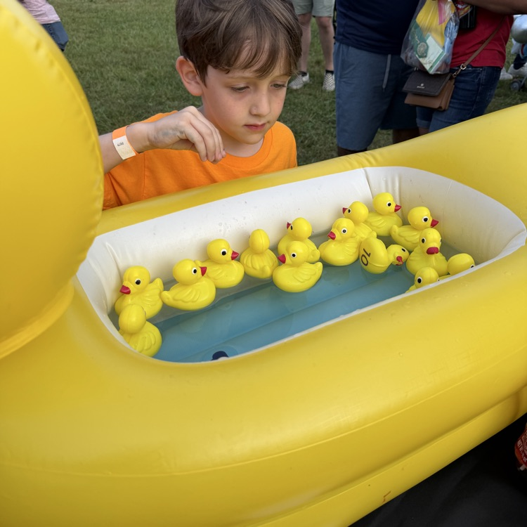 duck