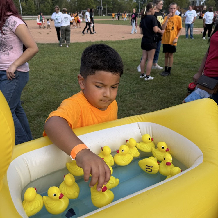 duck