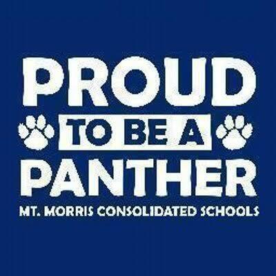 Proud to be a Panther Image