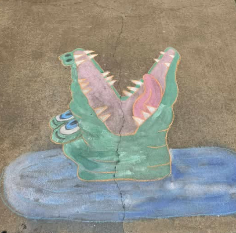 chalk alligator
