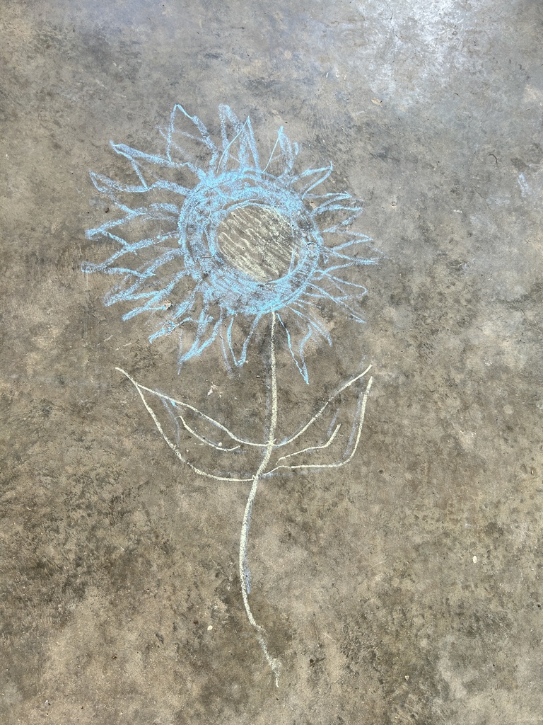 chalk flower