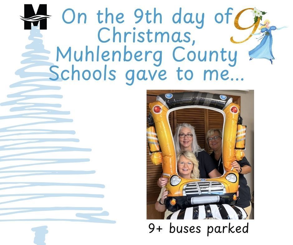 12 Days of Christmas