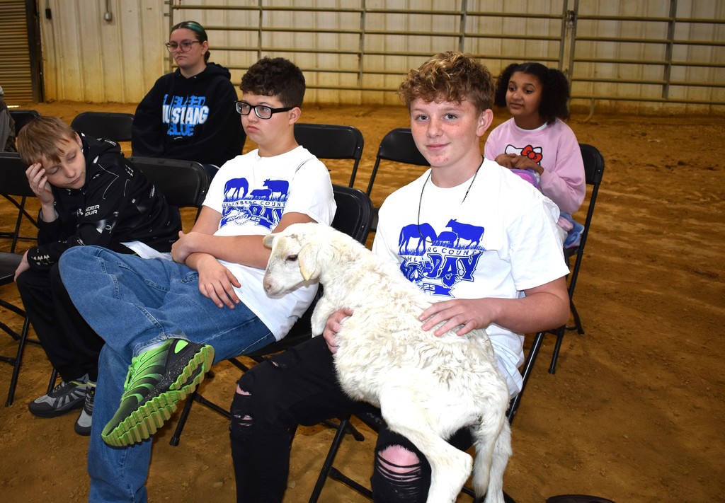 Students holding sheep