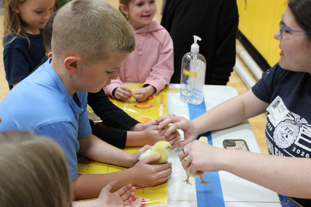 Students holding chicks