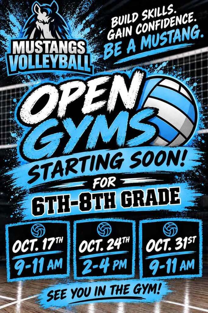 Volleyball Open Gyms