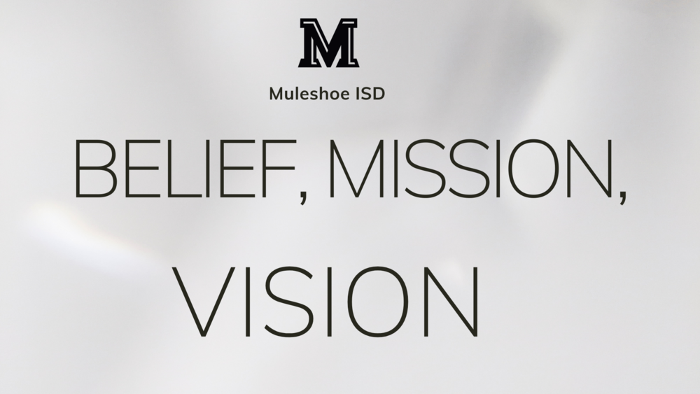 Belief, Mission, Vision