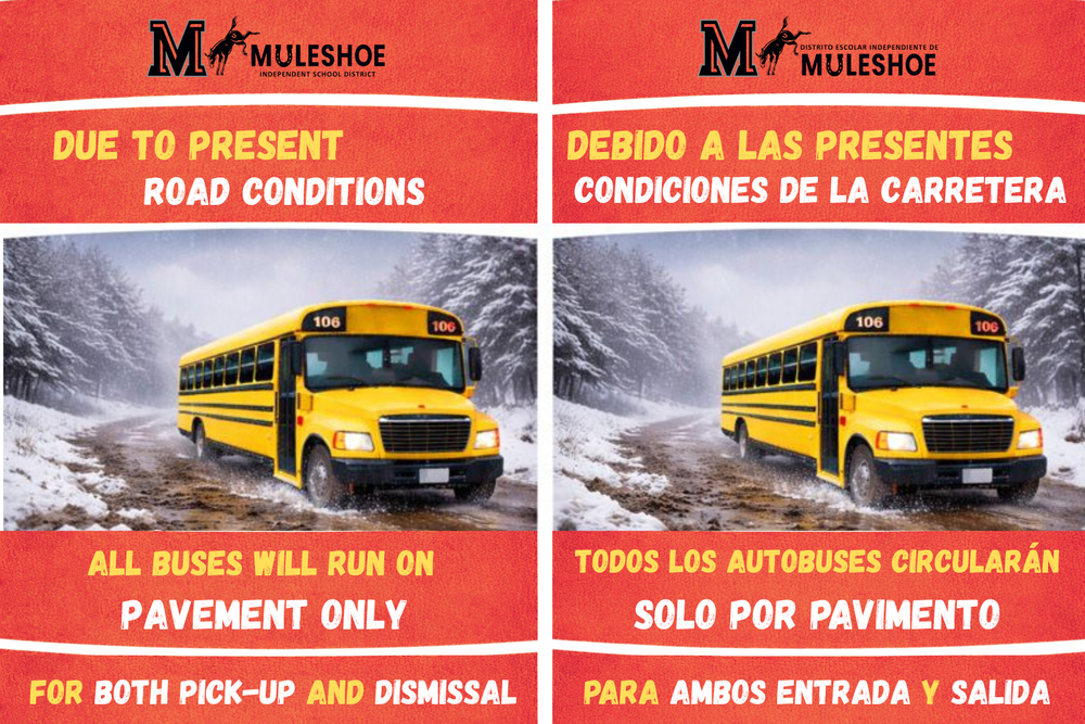 PAVEMENT ONLY - ALL DAY - SNOW