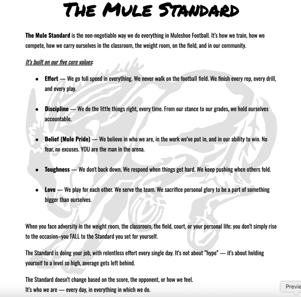 The Mule Standard