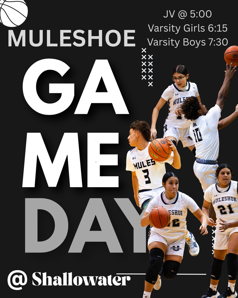 Black White and Gold Dynamic Basketball Game Day Instagram Post