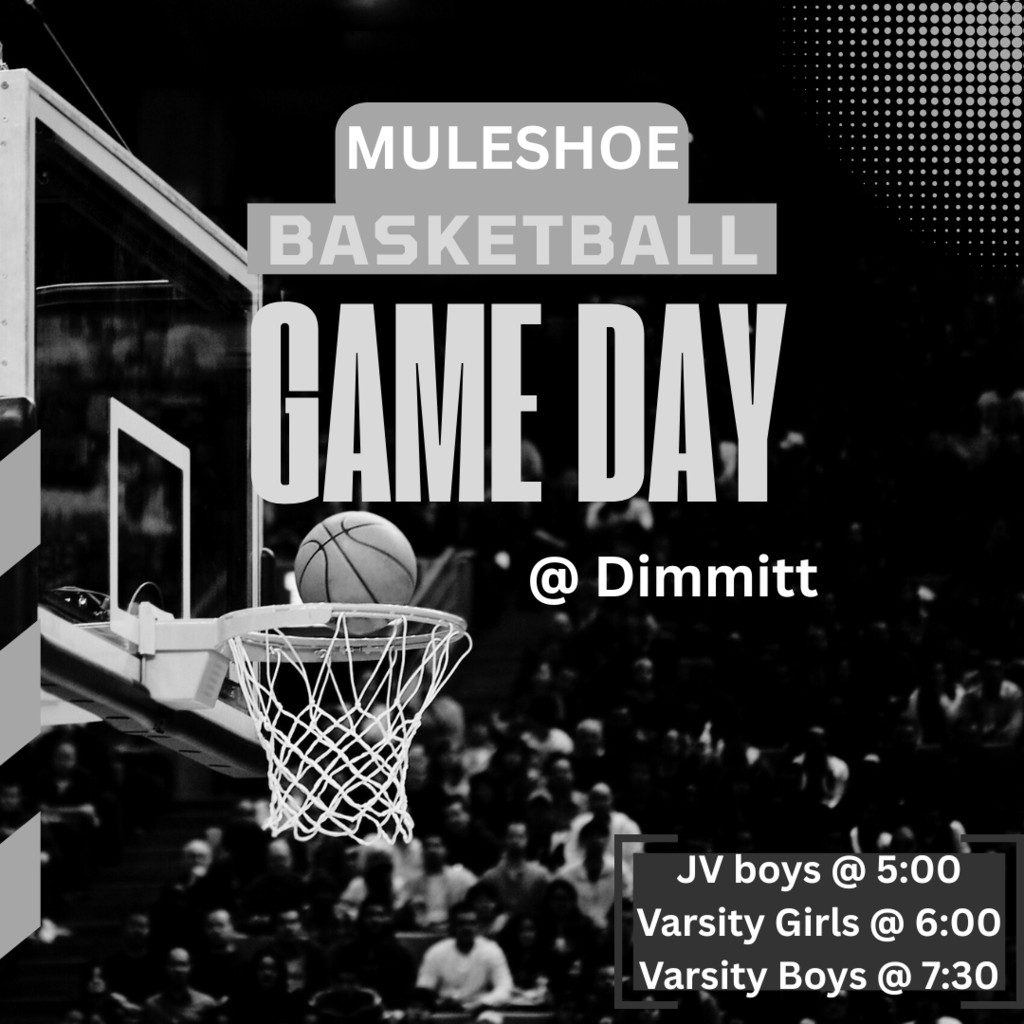 Orange and Black Basketball Modern Sports Instagram Post (1)