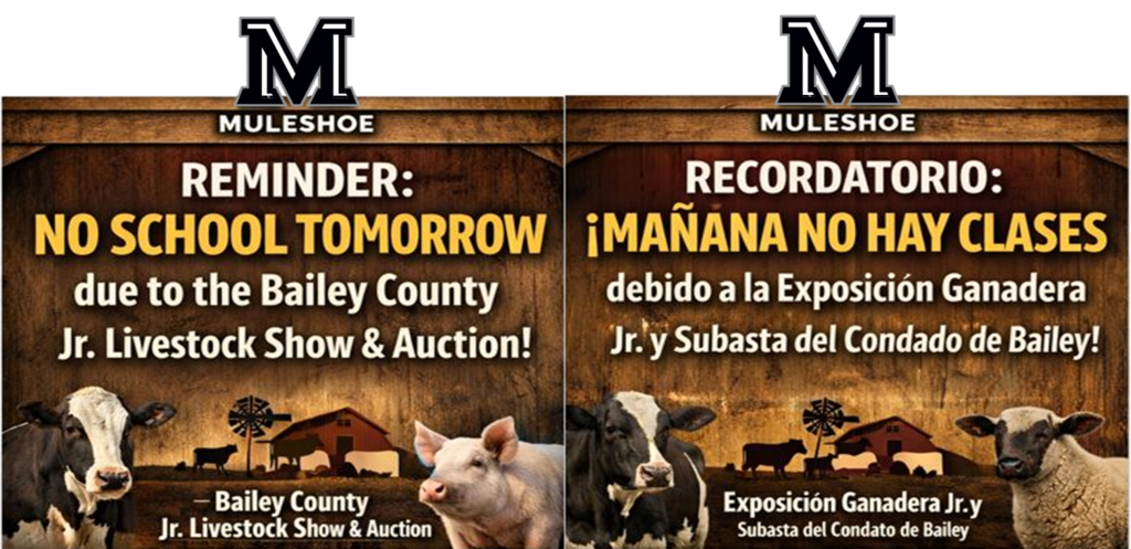 NS - Tomorrow - 26.01.23