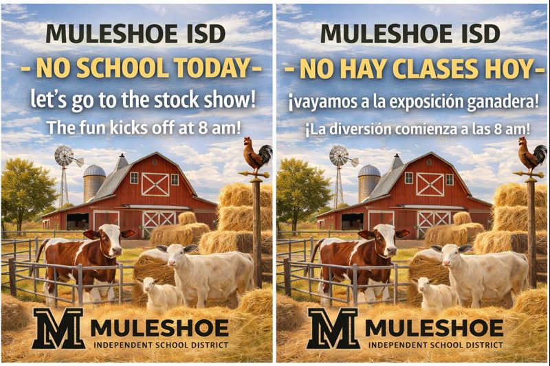 No School Today - Bilingual - 26-01.23