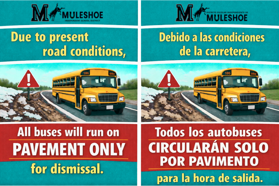 Bus Routes - Pavement Only - Dismissal