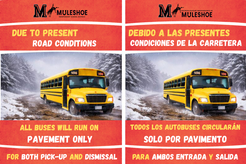 PAVEMENT ONLY - ALL DAY - SNOW