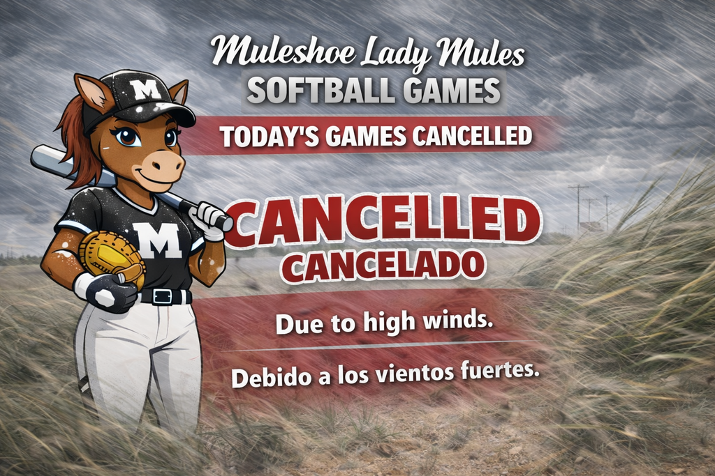 26.02.17 - MHS - Softball Game Cancelled
