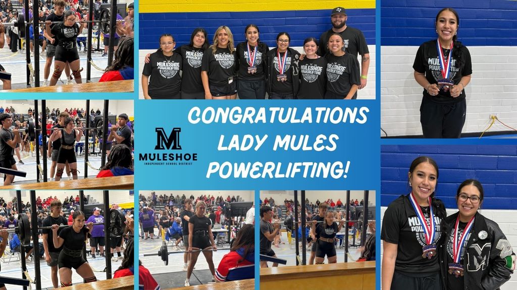 26.03.09 - Lady Mules Powerlifting - Regional Rankings - English