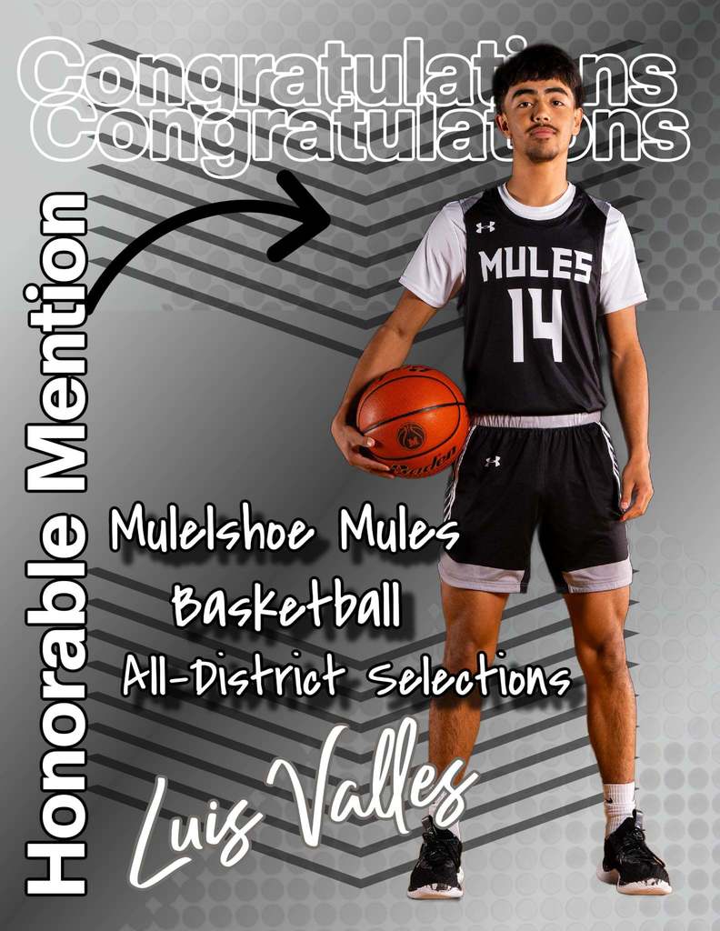 26.03.13 - MHS - Mules Basketball - All-District - Valles, Luis