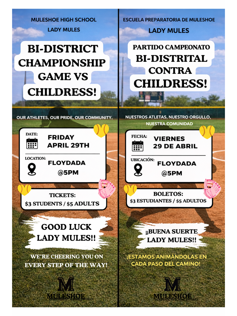 Softball Bi-District Championship Game