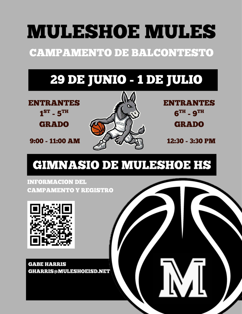 CAMP FLYER (SPANISH)