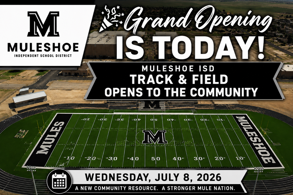26.07.08 - Grand Opening Graphic (English)