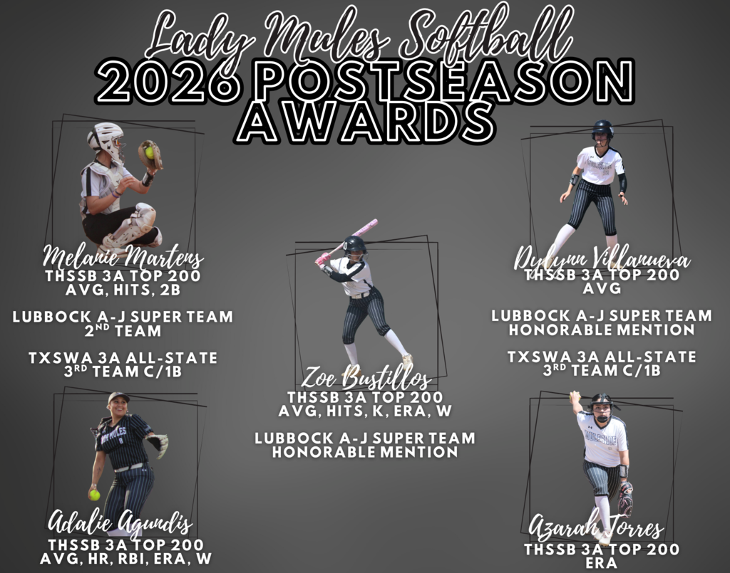 26.07.08 - Lady Mules Softball Post Season Graphic (English)