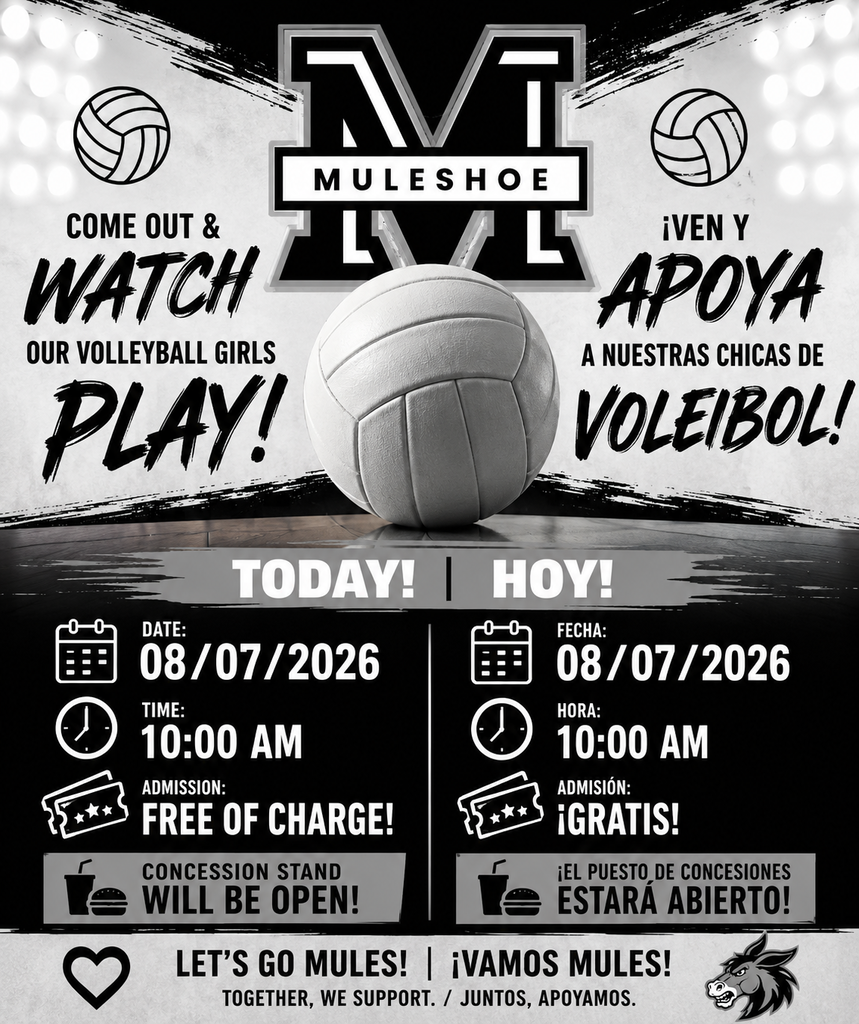 26.08.06 - Volleyball Game Day (Bilingual Graphic)