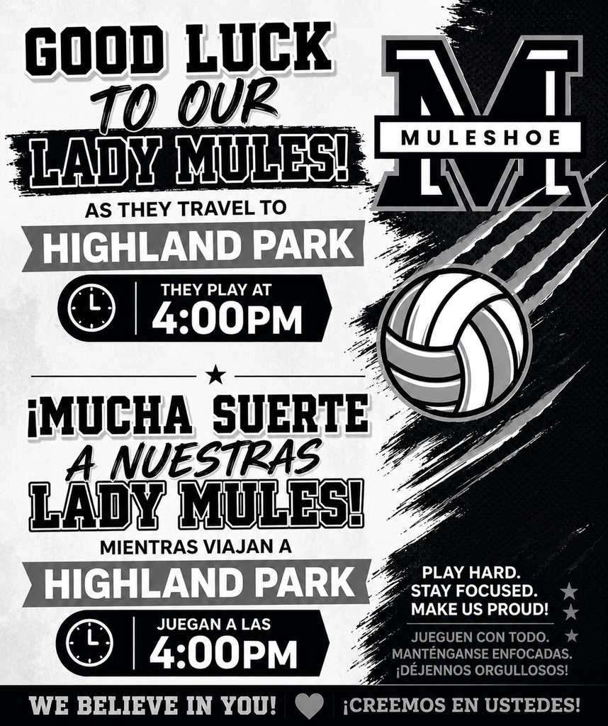 26.08.10 - Volleyball Game Day