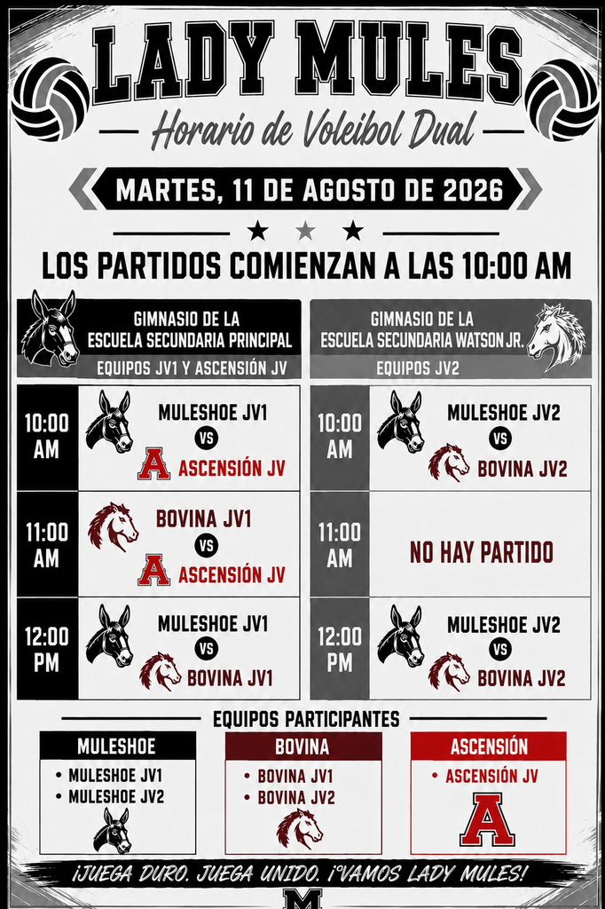 26.08.11 - Volleyball Game (Spanish)