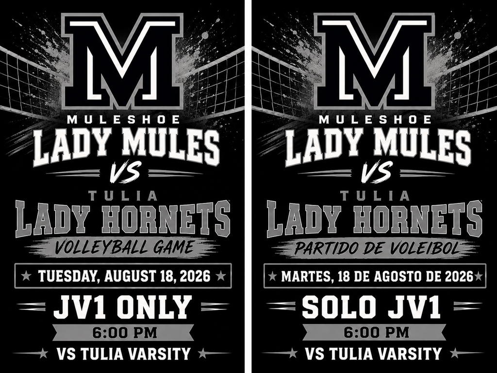 26.08.17 - Volleyball Game day