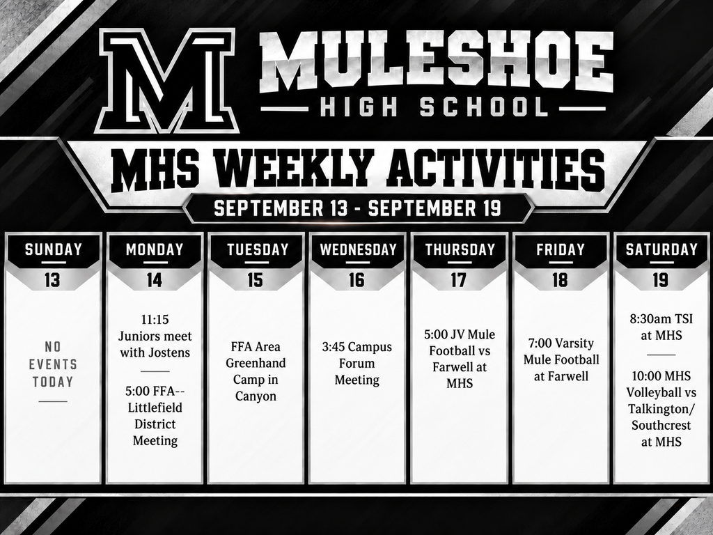 26.09.14 - MHS activities (English)