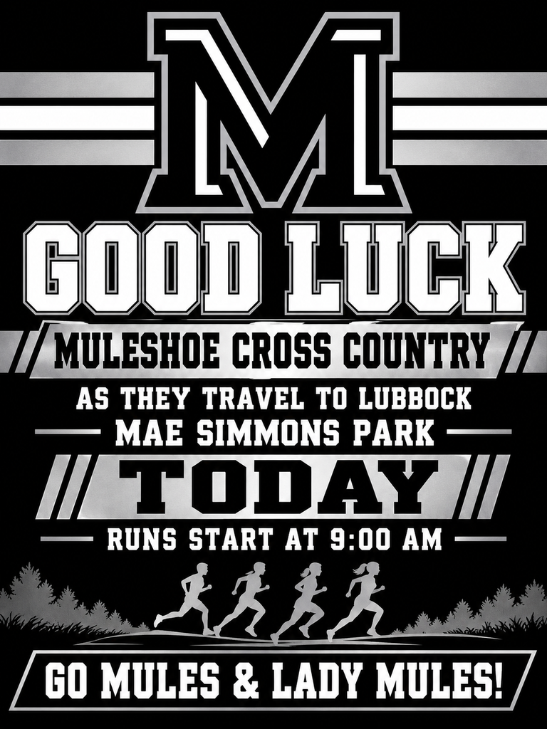 26.09.26 - Cross Country at Mae Simmons Park (English)
