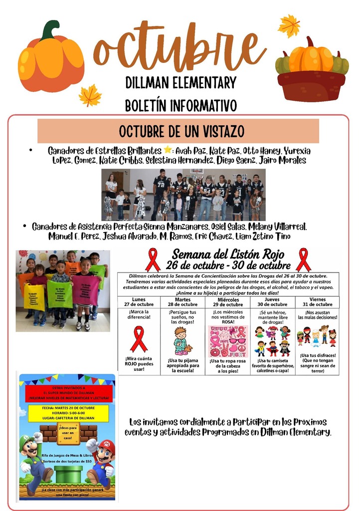 26.10.02 - Dillman News Letter October (Spanish)