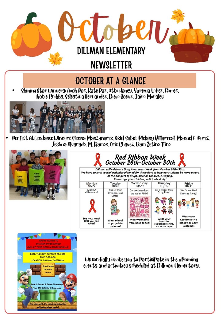 26.10.02 - Dillman NewsLetter October (English)